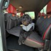 BarkBridge+ Backseat Extender for Dogs - Secure EV Pet Platform