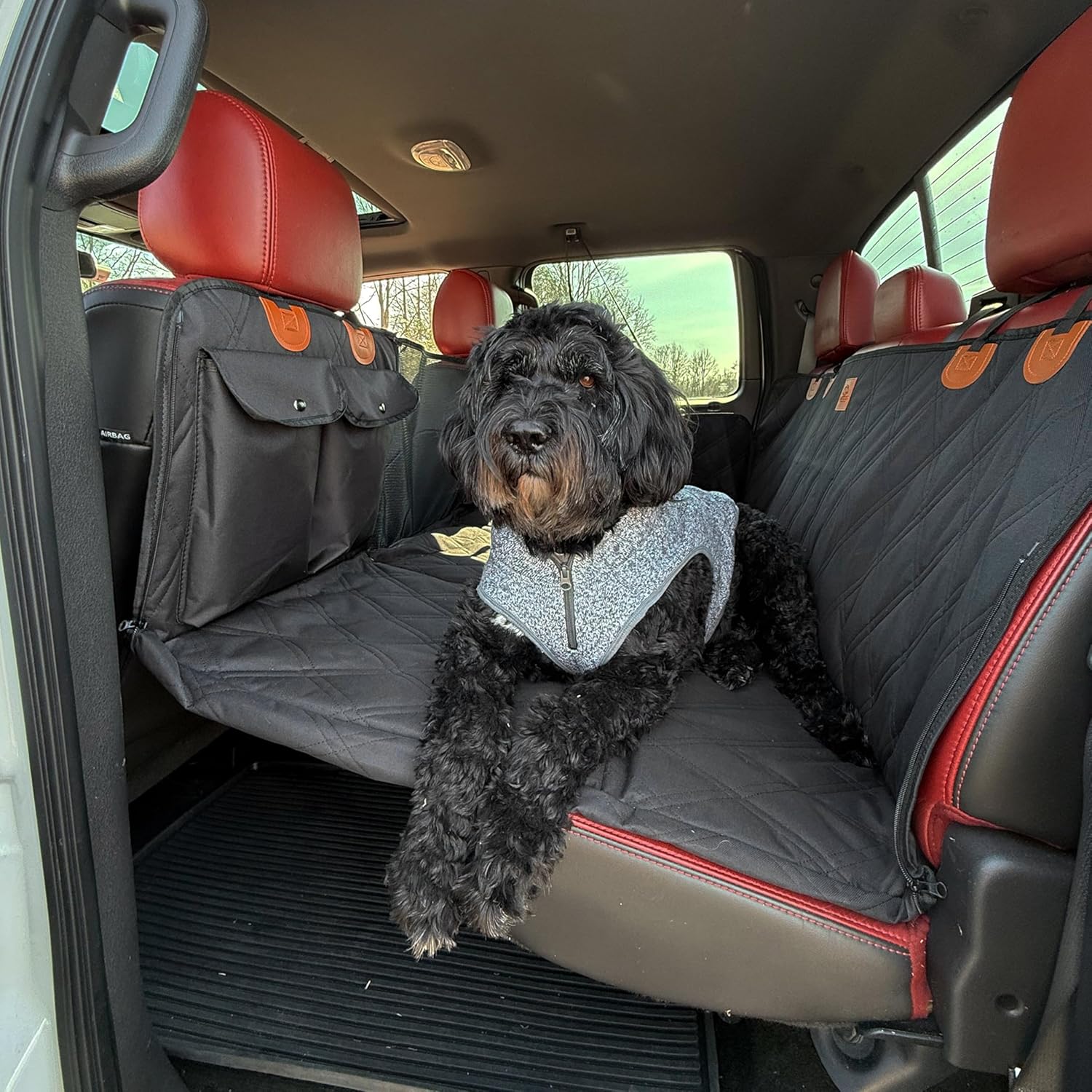BarkBridge+ Backseat Extender for Dogs - Secure EV Pet Platform