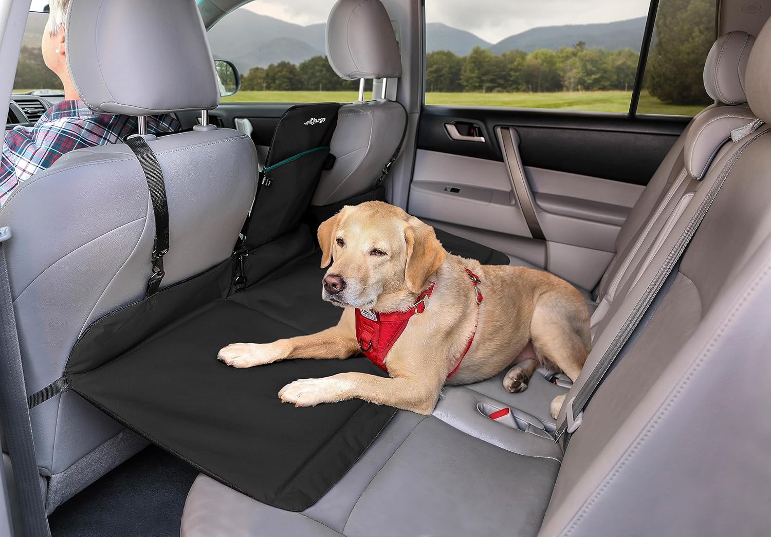 Kurgo Rover Backseat Bridge: Enhanced Pet Space for EVs