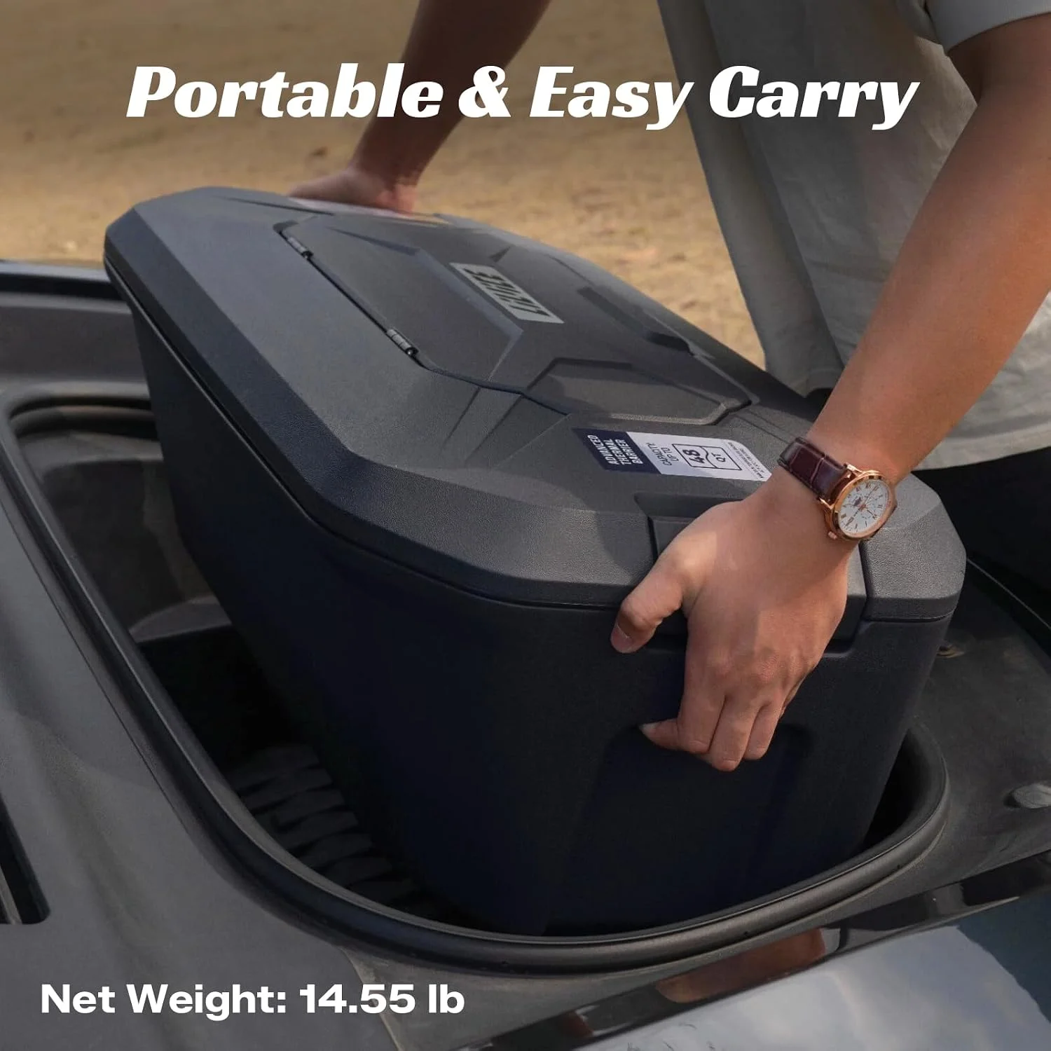 Interior Dimensions of Model Y Frunk Cooler